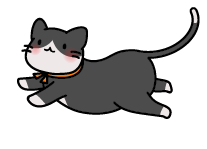 cropped cat1